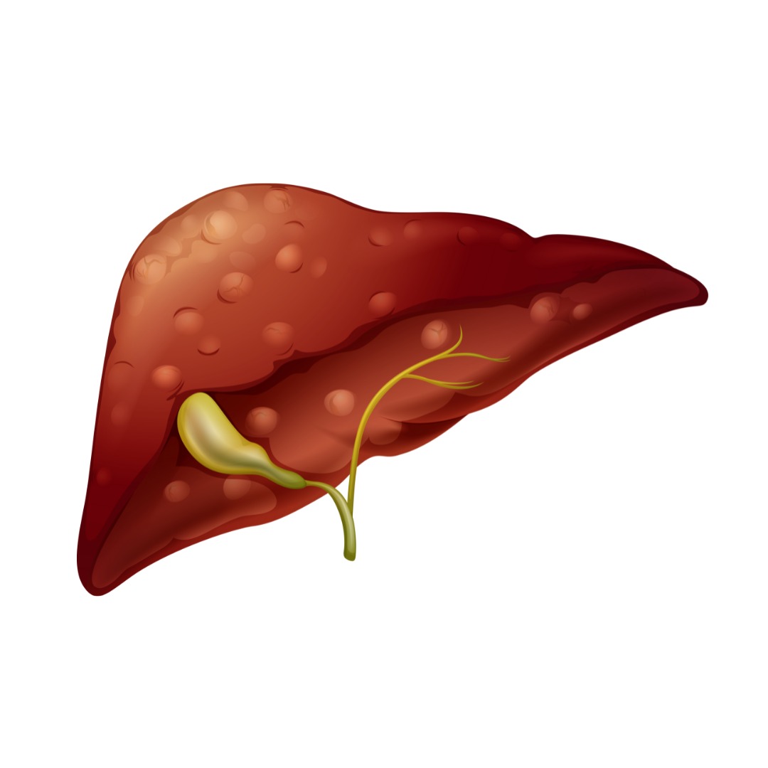 Liver Healthcare Package