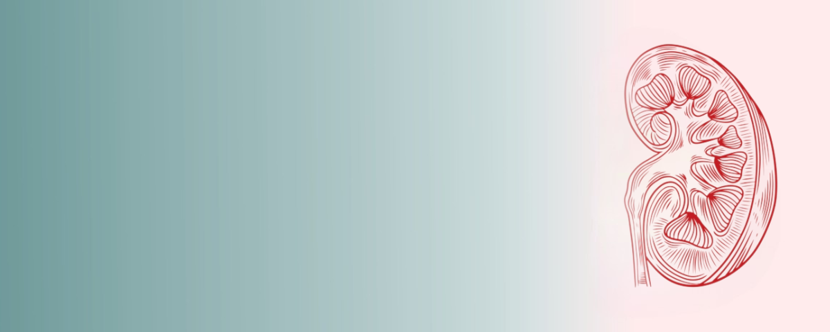 Renal Health Check Package